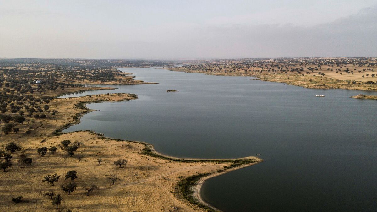 Gobierno de la Junta cometi prevaricacin medioambiental?
