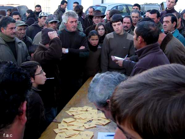 Monteria en el Valle del Guadiato