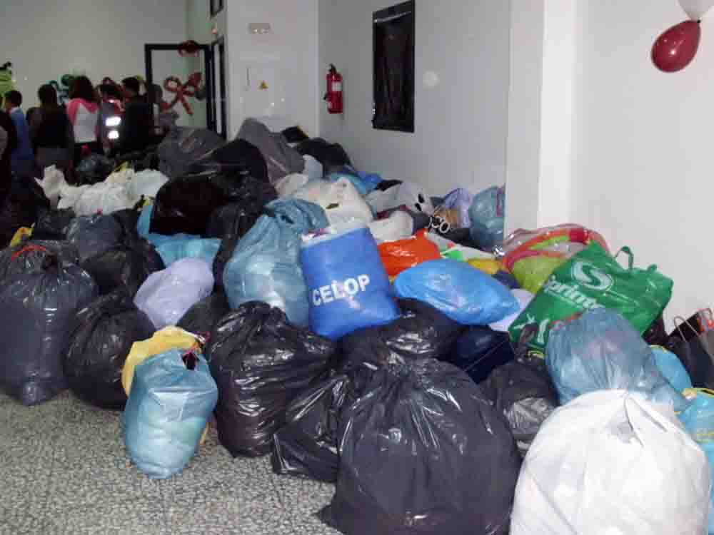 Recogida de alimentos y juguetes