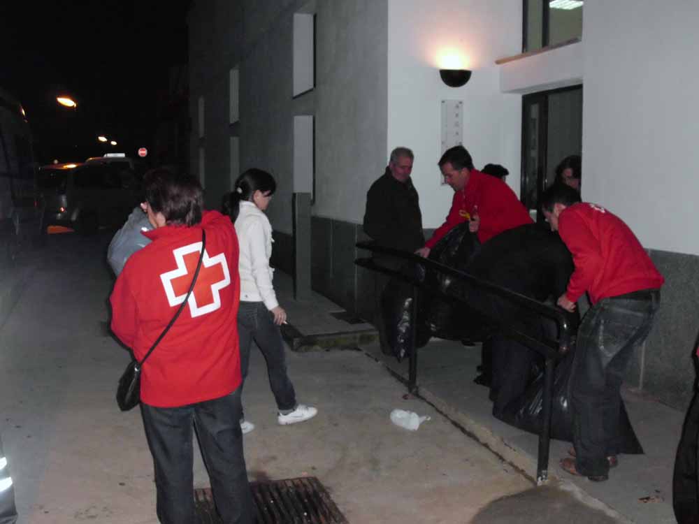 Recogida de alimentos y juguetes