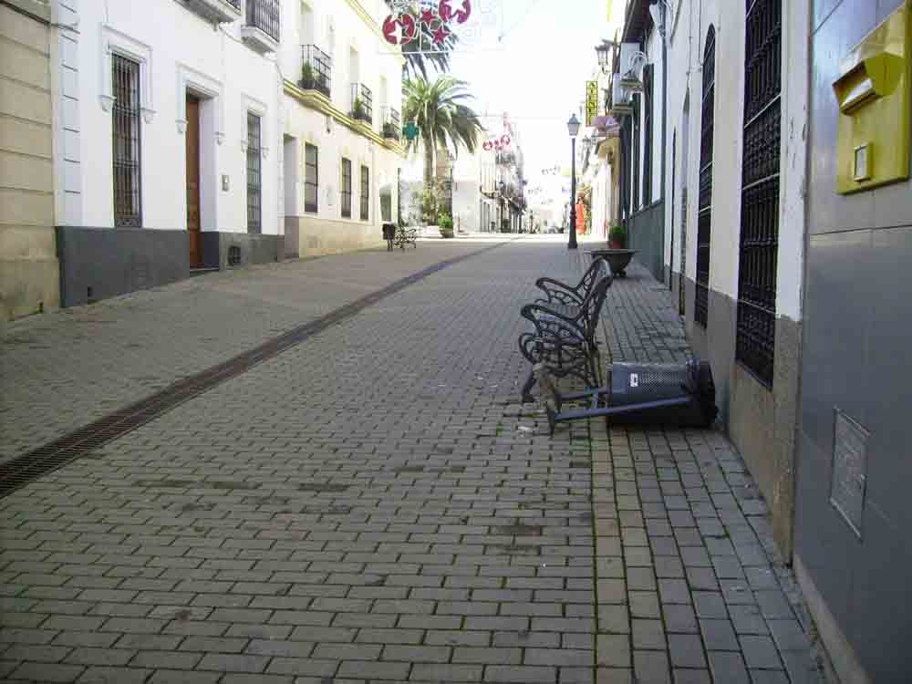 Arrancan una papelera en la Calle Juan Carlos I