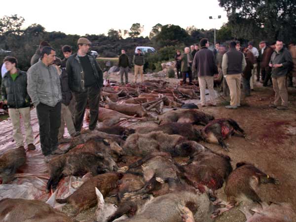 La SC de Hornachuelos firma un gran resultado en La Adelfilla