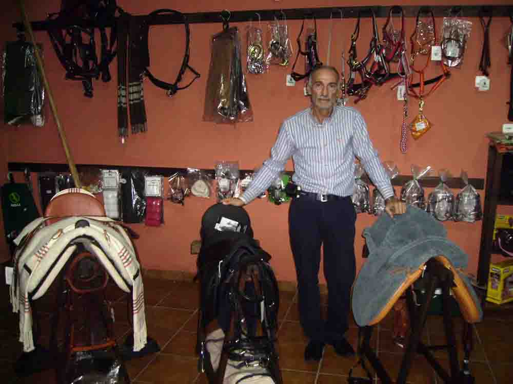 Lo mejor del mundo del caballo  y del flamenco