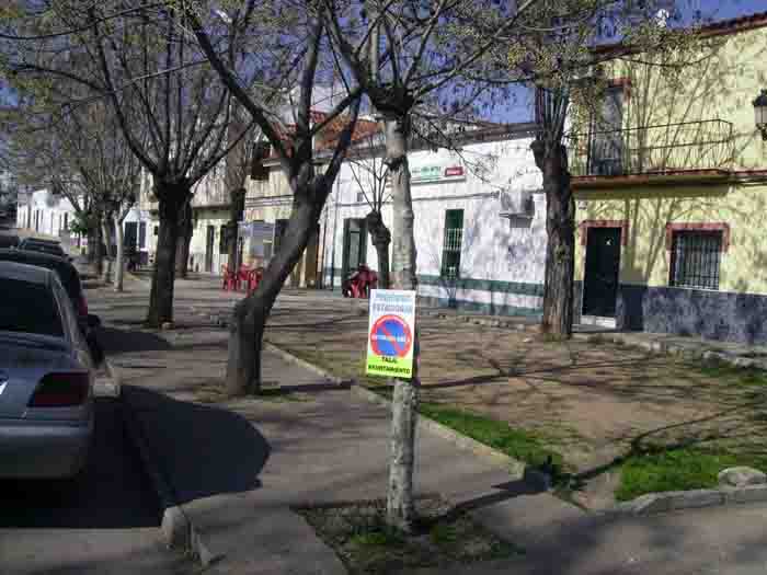  Tala controlada  de los arboles