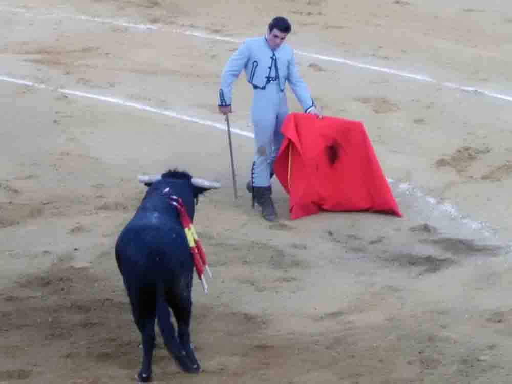 Exitoso festival a beneficio de Amagua