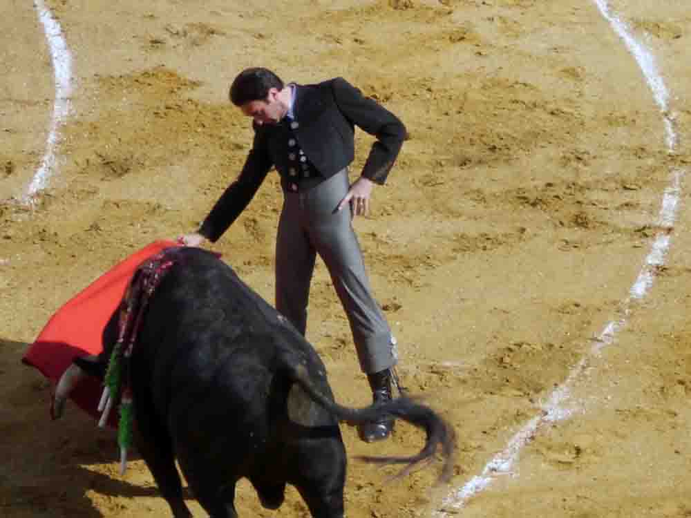 Exitoso festival a beneficio de Amagua