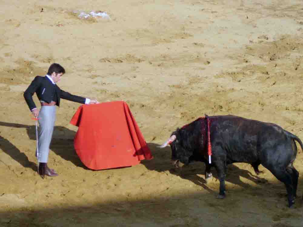 Exitoso festival a beneficio de Amagua