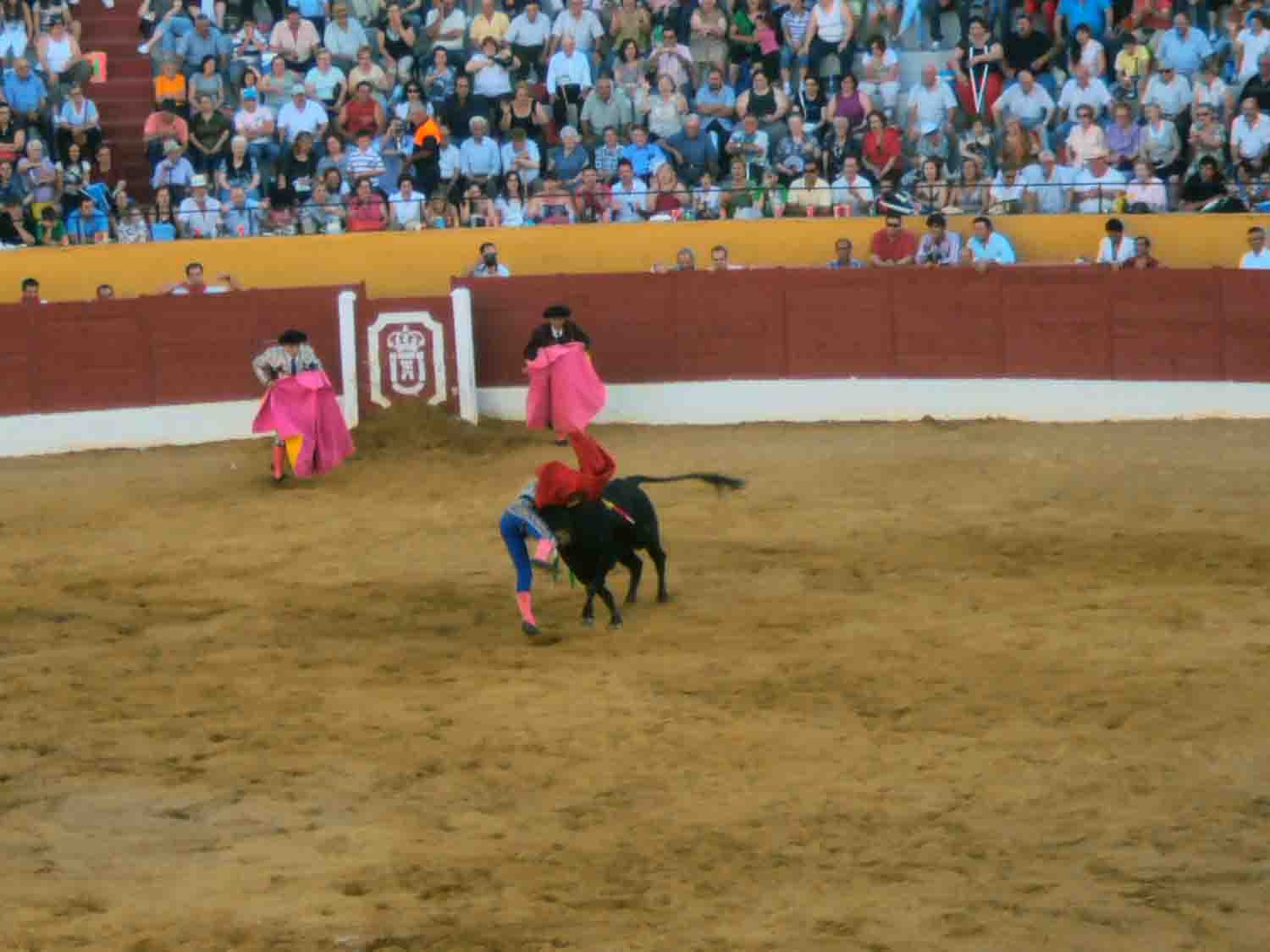 Novillada de las escuelas taurinas en belmez