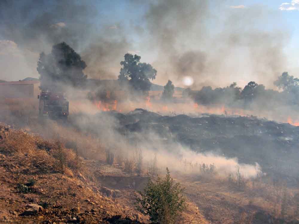 Un incendio arrasa 2000 metros  de pastizal 