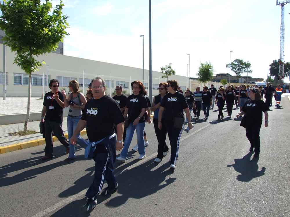 El Consejo Local de Participaci�n Ciudadana 