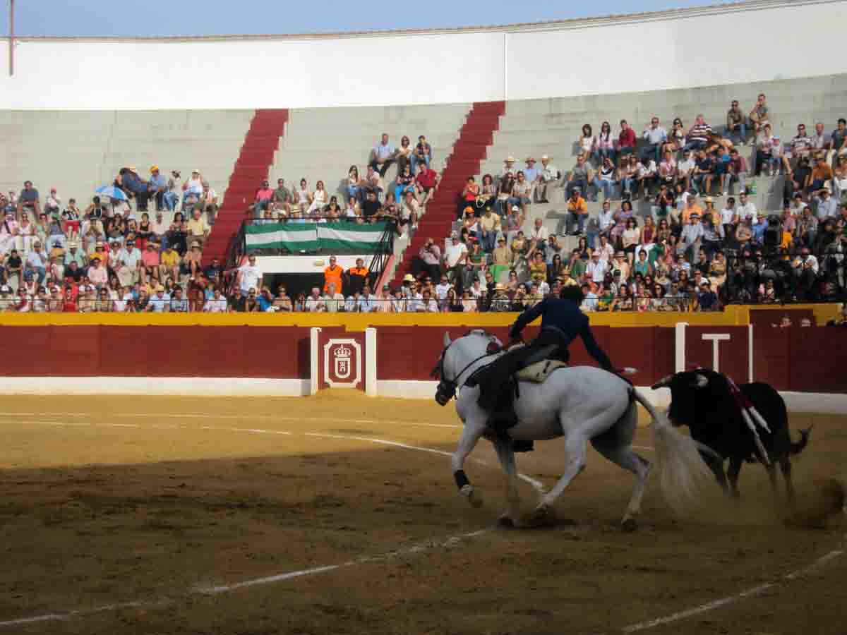 Corrida de toros en Belmez
