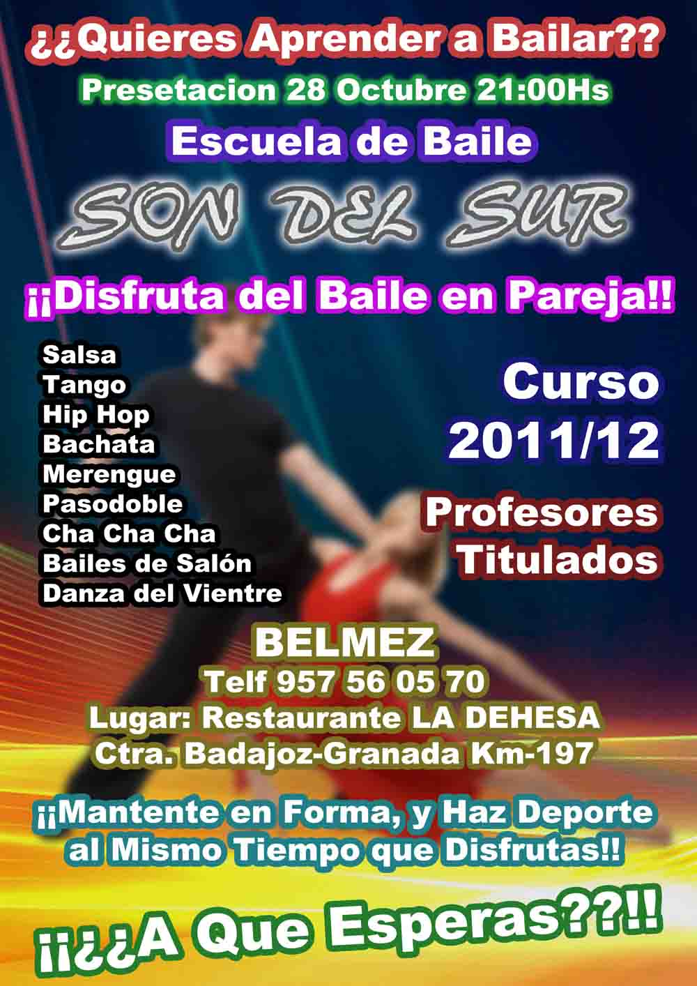 Escuela de baile Son del Sur