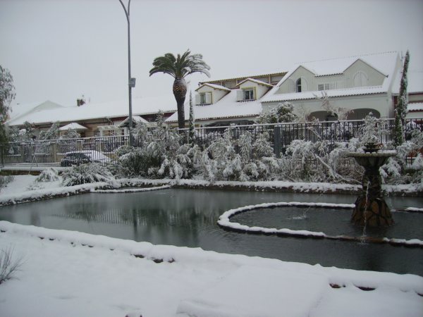 Nieve 15