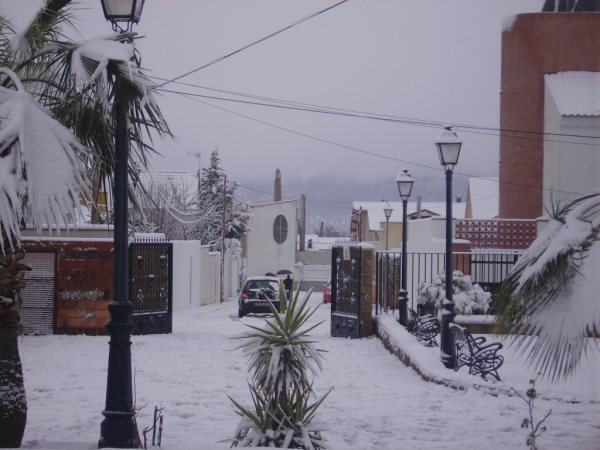 Nieve 22
