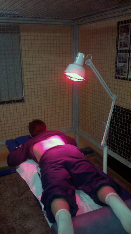 Programa de Fisioterapia y Rehabilitacin