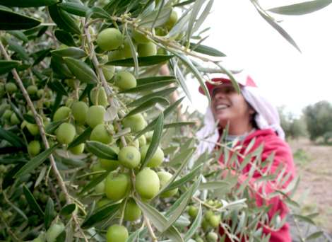 El campo no frena la subida del paro