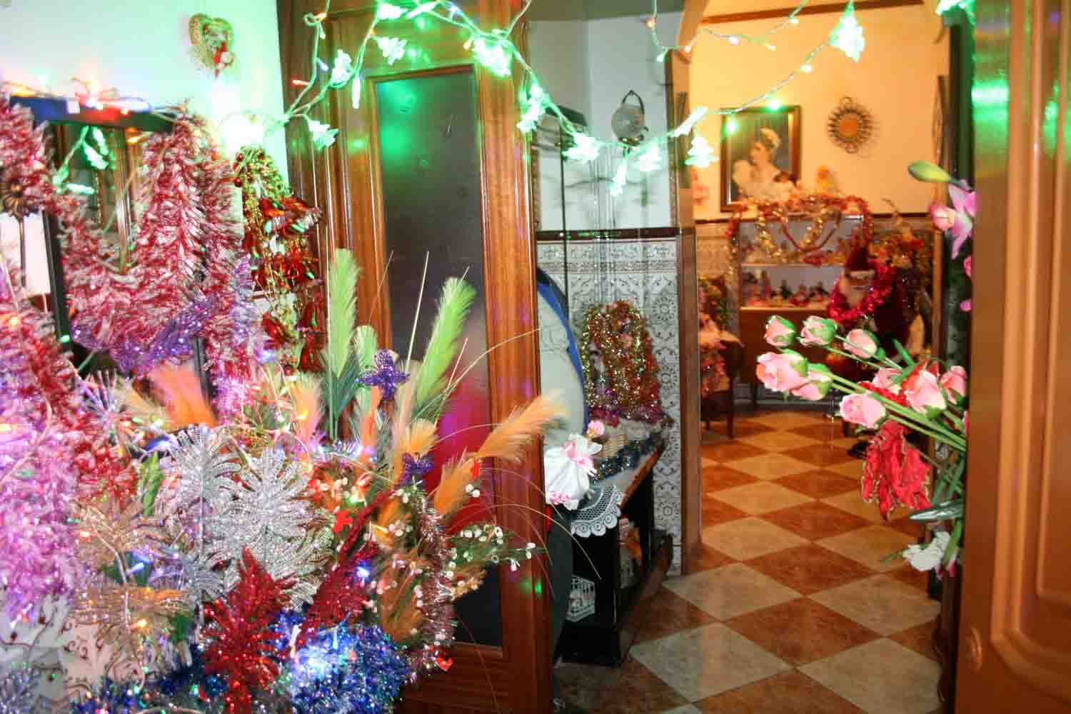  Decoraci�n navide�a en la calle Castelar