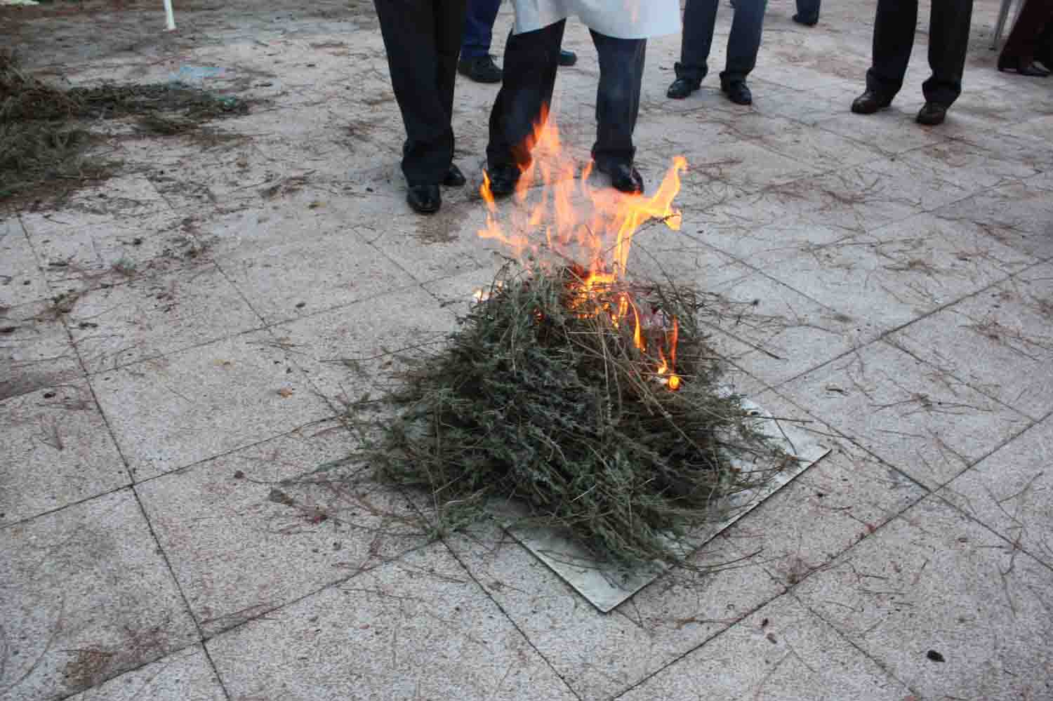 Da de los Tomillos en la Casa de Crdoba en Madrid