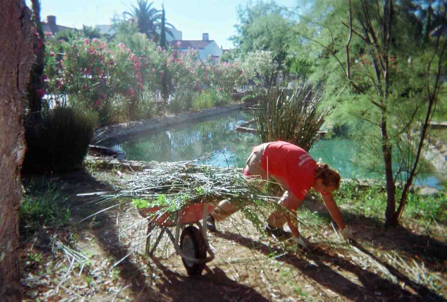 Adecentamiento de Edificios y Parques y Jardines P�blicos