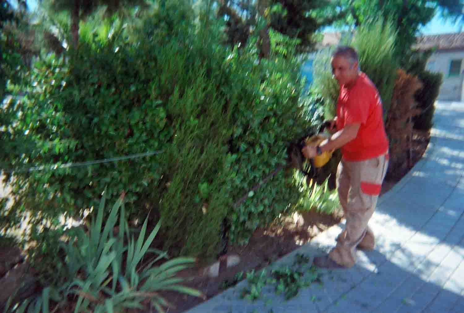 Adecentamiento de Edificios y Parques y Jardines P�blicos