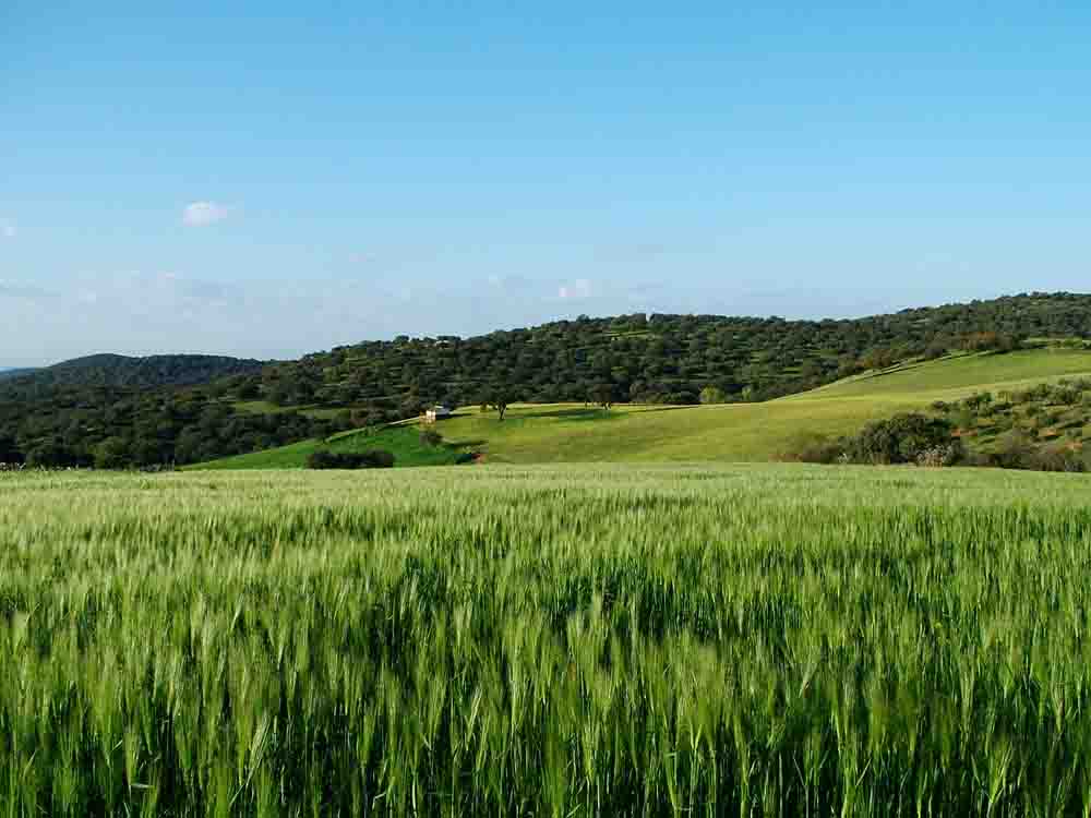 Consumir para Conservar