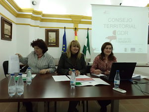 Reunin del Consejo Territorial del GDR