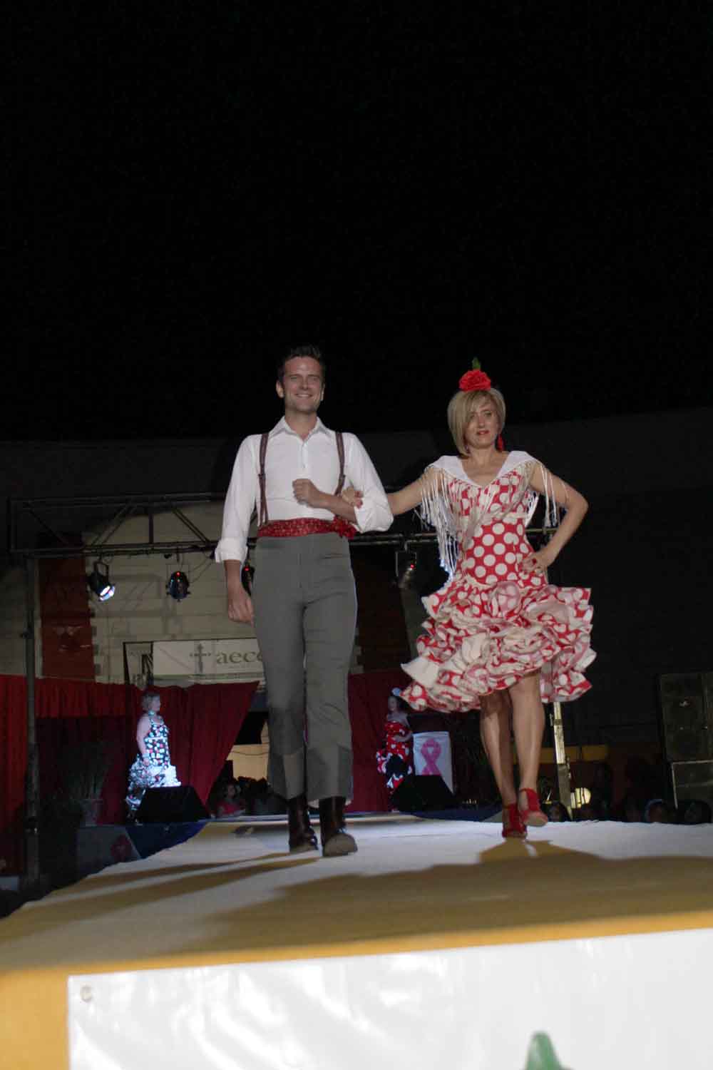 II Festival benfico a favor de la AECC