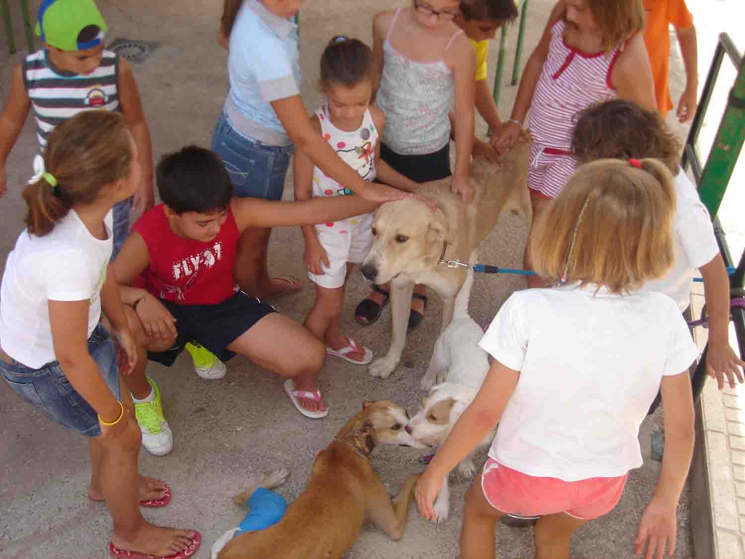 Semana del medio ambiente en la Casa de la Juventud