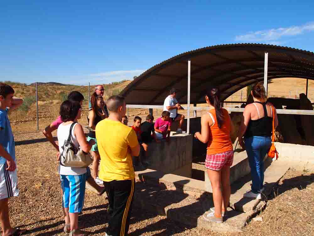 Visitas turísticas a belmezanos ausentes