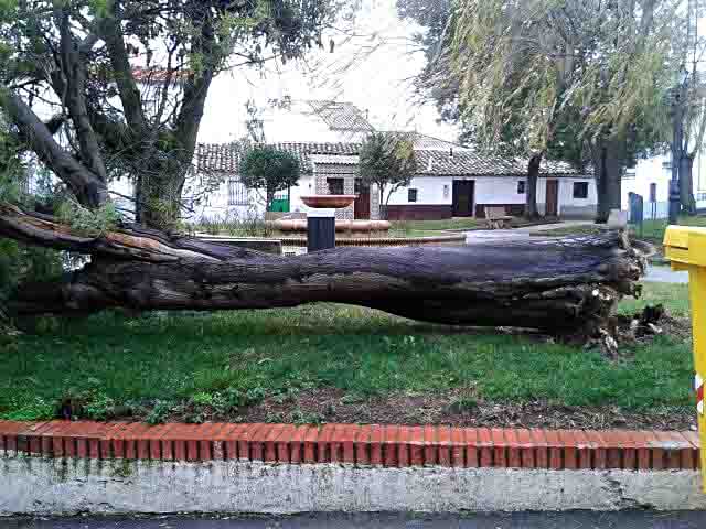 Daos en Villanueva del Rey