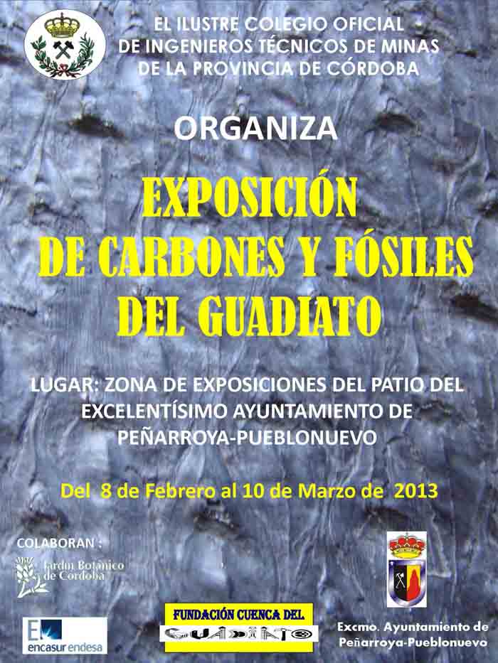 Exposici�n de Carbones y F�siles del Guadiato