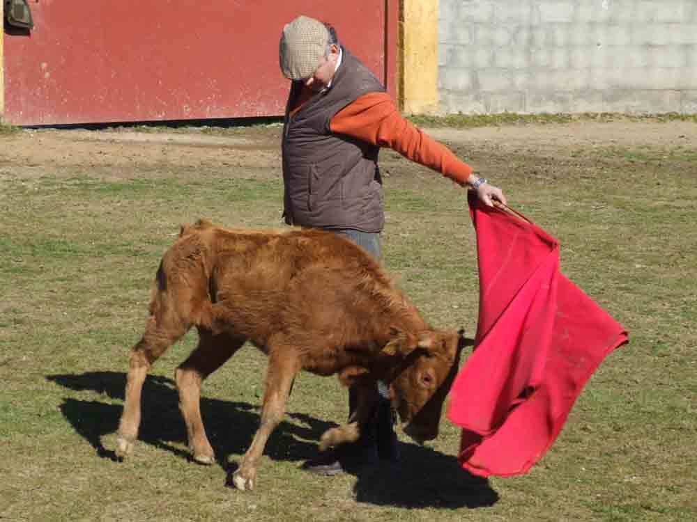 Acontecimiento taurino en Aguas Vivas
