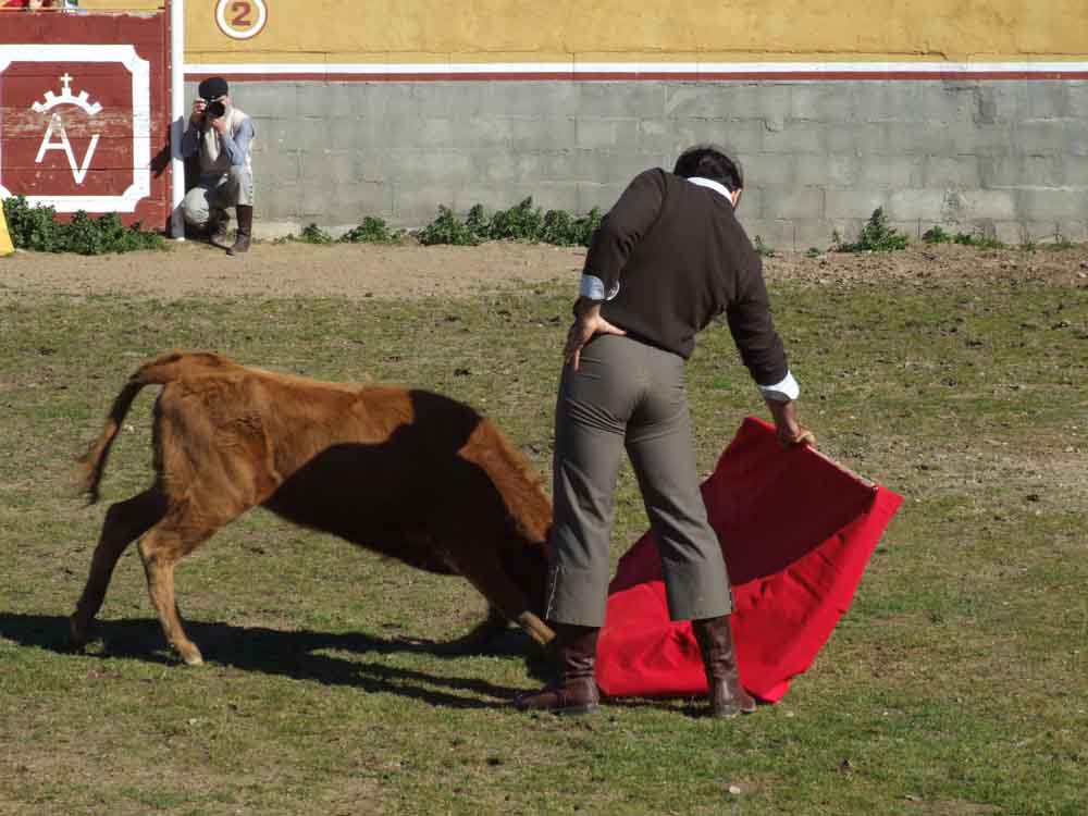 Acontecimiento taurino en Aguas Vivas