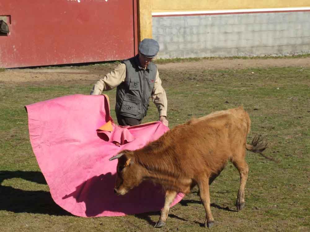 Acontecimiento taurino en Aguas Vivas