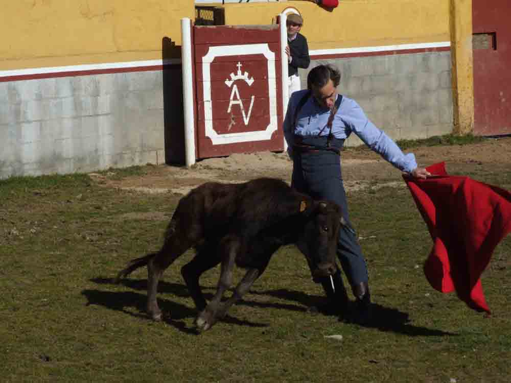 Acontecimiento taurino en Aguas Vivas