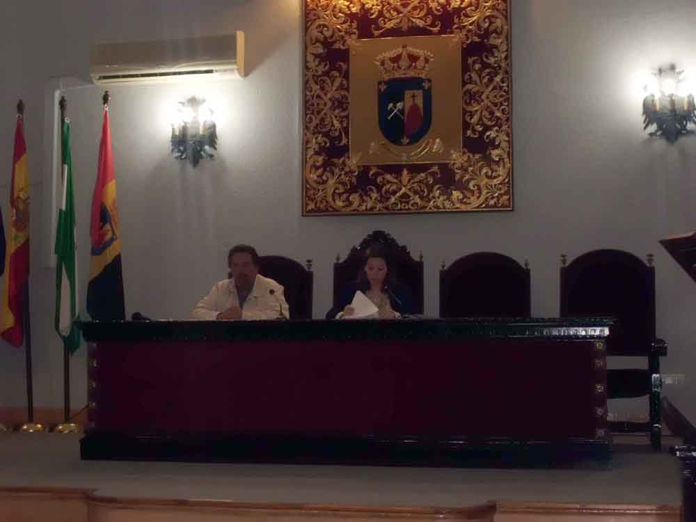 Pleno del mes de abril