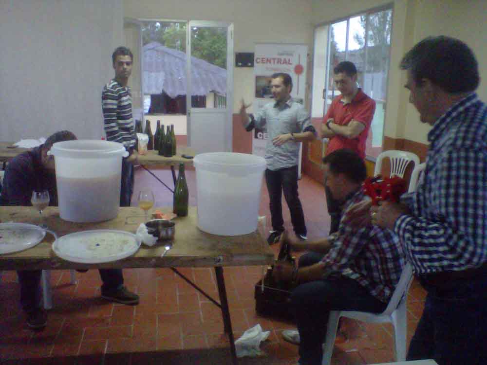 Elaboracin de cerveza artesanal