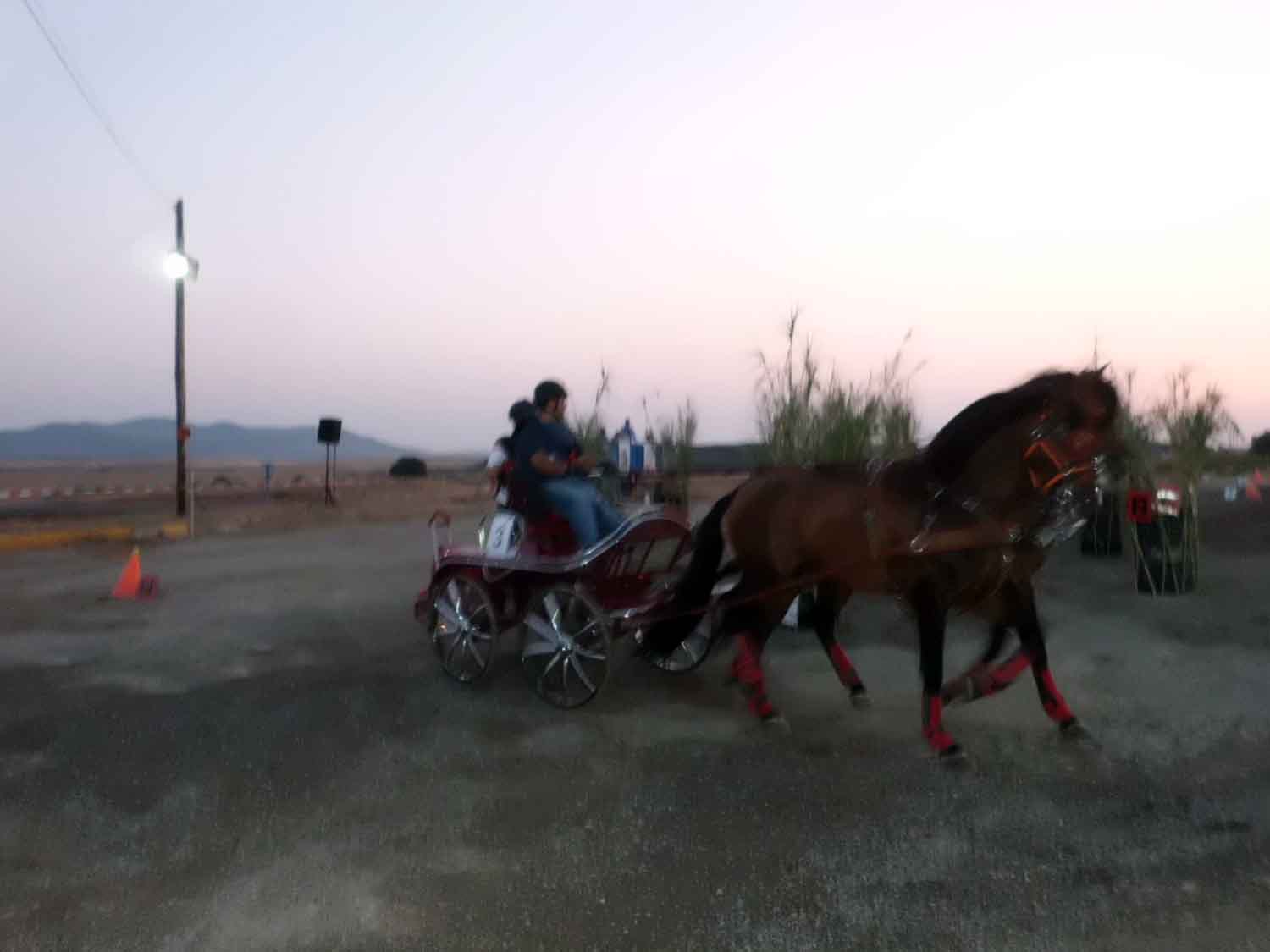 Primer Indoor de Enganches de Belmez en La Dehesa