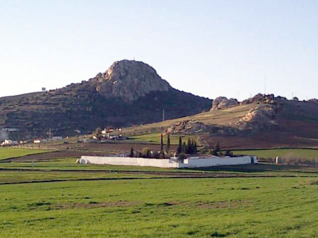 Nueva tasa de cementerios de Pe�arroya 