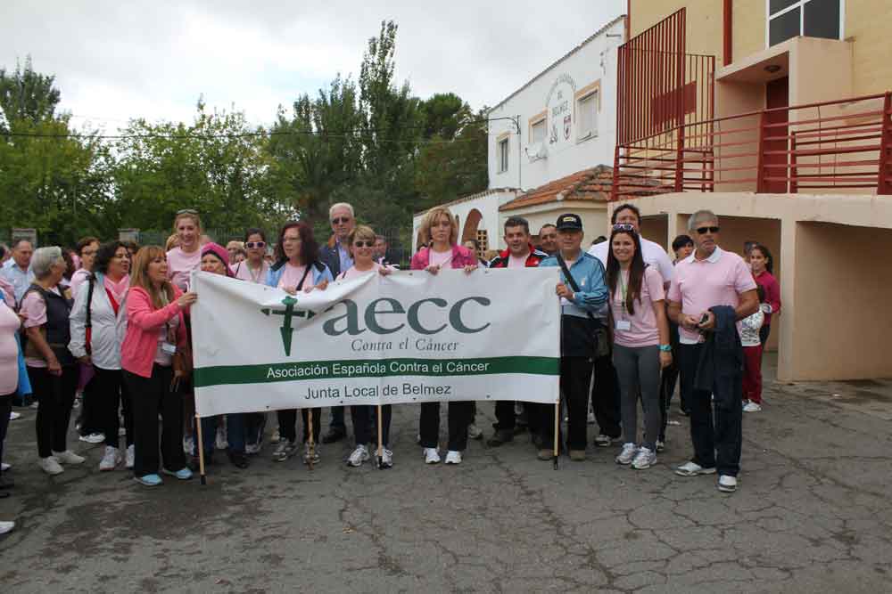 I Marcha Contra el Cncer de Mama