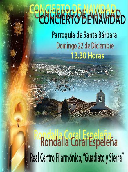  Concierto de Navidad en Pe�arroya-Pueblonuevo