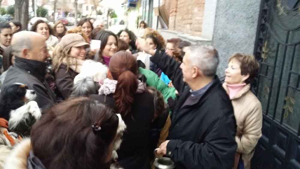 Bendici�n de animales por San Ant�n