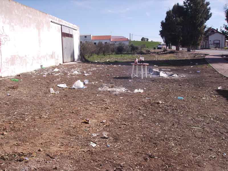 Im�genes del d�a despu�s