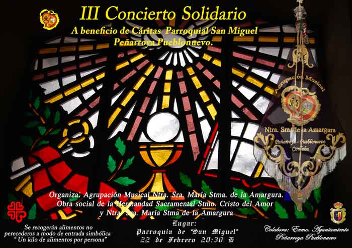 III concierto solidario 