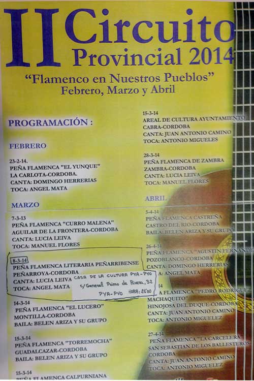 II Circuito Provincial de Flamenco