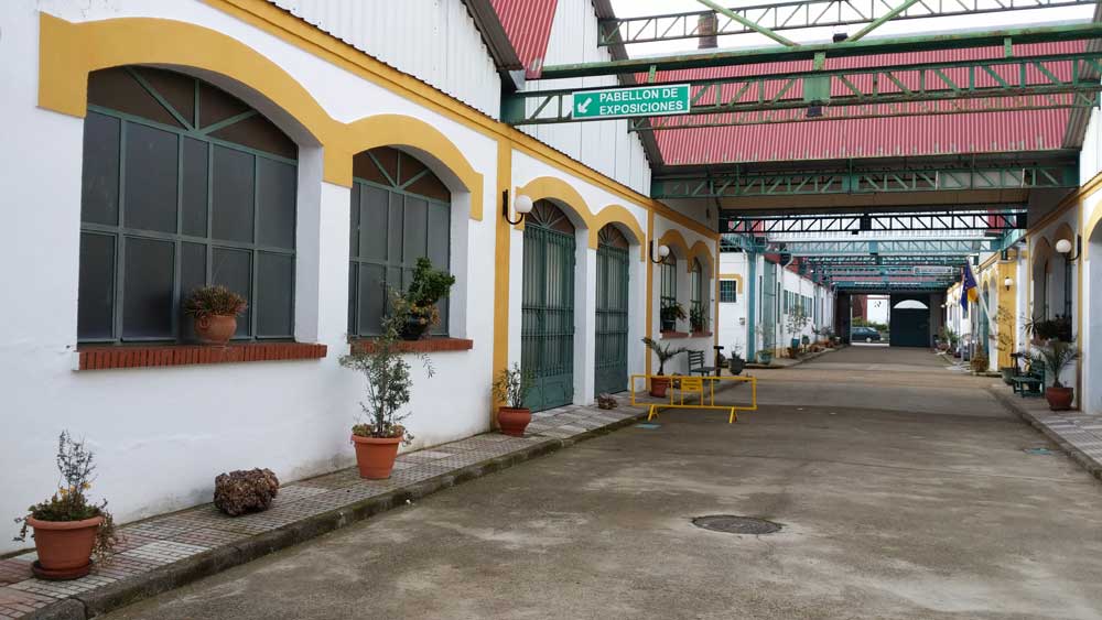 Expoguadiato no se celebrar� este a�o