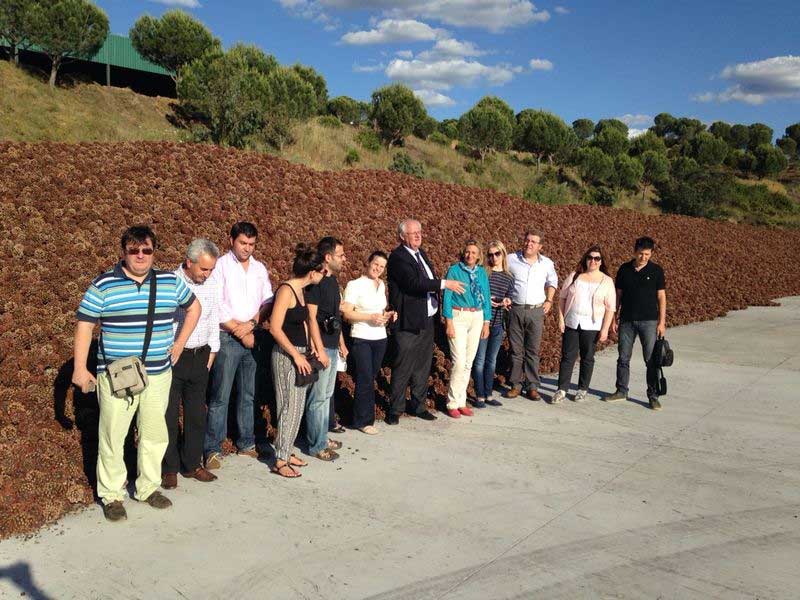 Visita de estudio al Guadiato de Efxini Poli