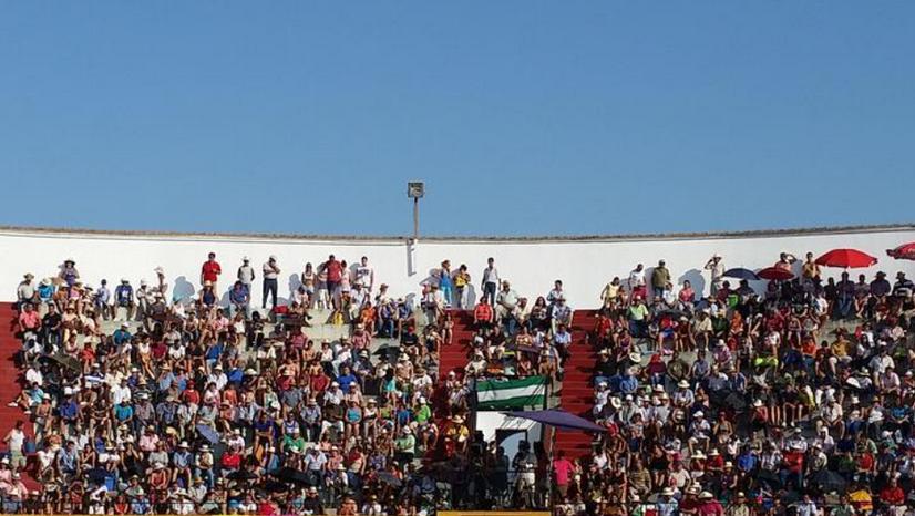 Certamen de novilladas sin picadores en Belmez 