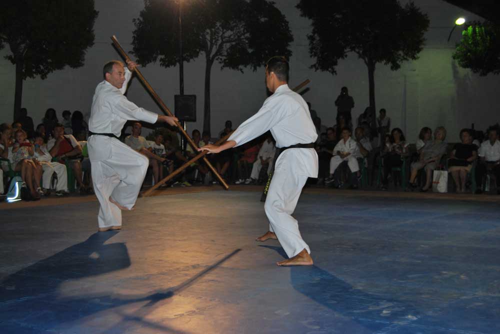 Exhibición de artes marciales