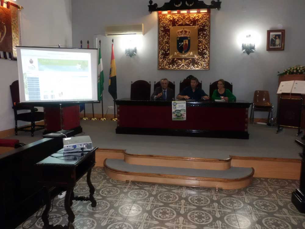 Presentaci�n del proyecto de la l�nea verde